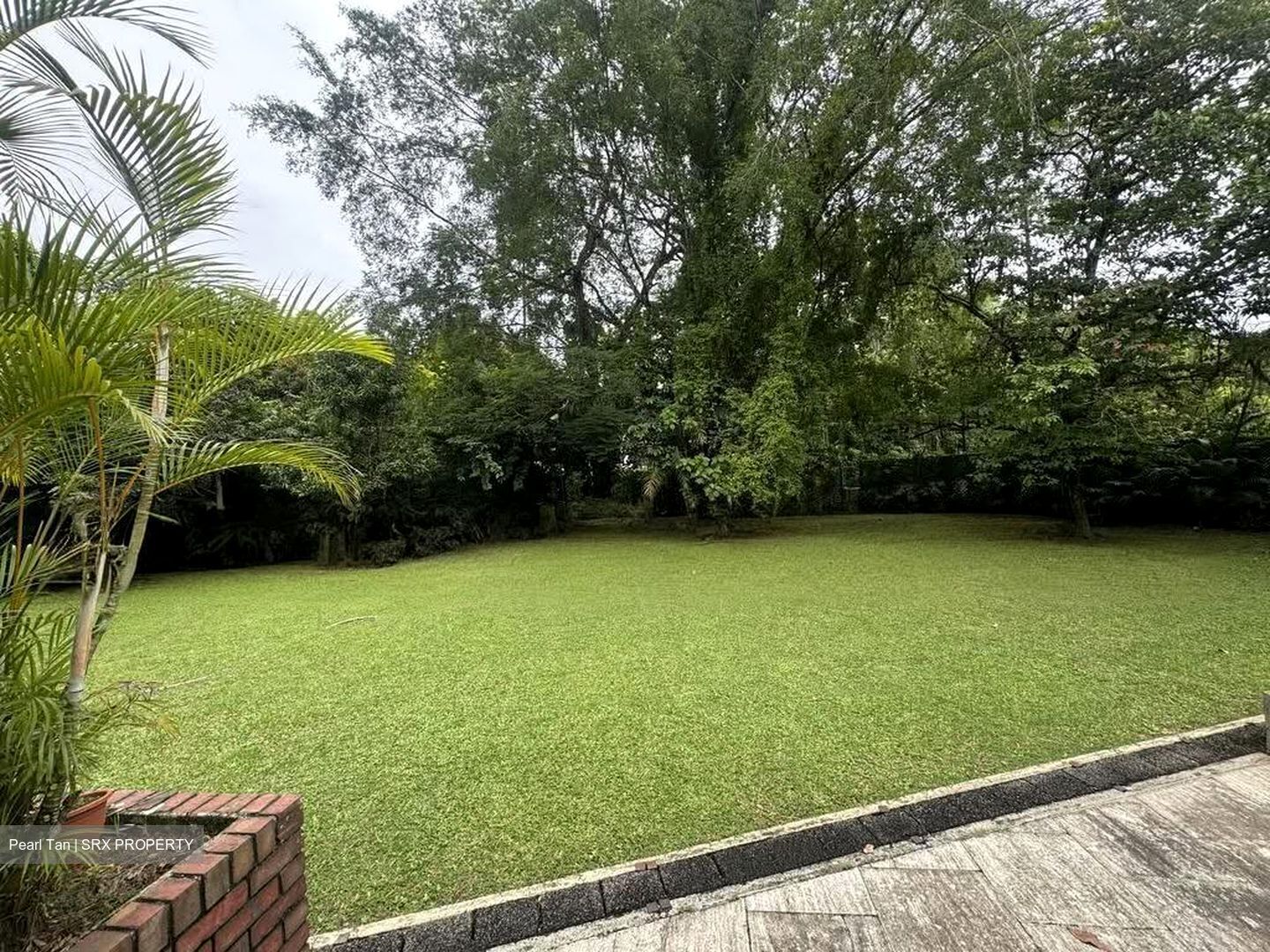 Dunearn Road (D21), Detached #638639261